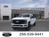 New 2025 Ford F250 Platinum image 2
