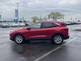 Used 2023 Ford Escape Active w/ Tech Pack #2 image 4
