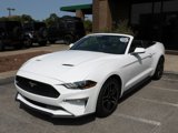 Used 2023 Ford Mustang Premium w/ Equipment Group 201A image 5