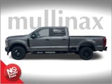 New 2025 Ford F250 XL w/ STX Appearance Package image 2
