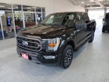 Certified 2023 Ford F150 XLT w/ Equipment Group 302A High image 4