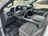 New 2025 Ford F150 XLT w/ Equipment Group 302A MID image 5