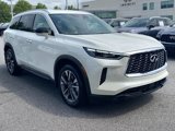 Certified 2025 INFINITI QX60 Luxe image 5