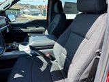New 2025 Ford F150 XLT w/ Equipment Group 301A Standard image 4