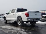 New 2025 Ford F150 XLT w/ Equipment Group 302A MID image 6