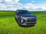 New 2025 Hyundai Palisade Calligraphy image 4
