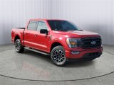 Certified 2021 Ford F150 XLT w/ Equipment Group 302A High image 1