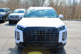 New 2025 Hyundai Palisade Calligraphy image 3