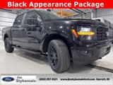 New 2025 Ford F150 STX image 3
