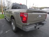 New 2025 Ford F150 XLT image 5