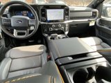 New 2025 Ford F150 Tremor w/ Equipment Group 402A High image 6