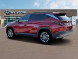 New 2025 Hyundai Tucson Limited image 4