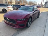 New 2025 Ford Mustang Coupe image 4
