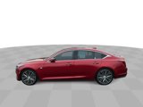 Certified 2024 Cadillac CT5 Premium Luxury image 6