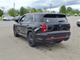 New 2025 Hyundai Palisade Calligraphy image 4