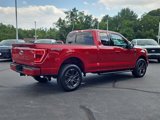 Certified 2022 Ford F150 XLT w/ Equipment Group 302A High image 3