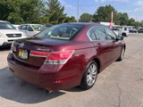 Used 2011 Honda Accord EX-L image 5