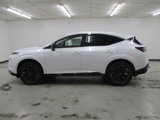 New 2025 Nissan Murano Platinum w/ Cargo Package image 2