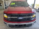 New 2025 Ford F150 XLT w/ Equipment Group 302A MID image 2