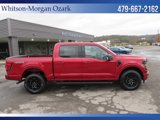 New 2024 Ford F150 XLT w/ Equipment Group 302A MID image 4