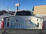 New 2025 Ford F150 Platinum w/ Equipment Group 702A High image 6