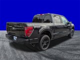 New 2025 Ford F150 Platinum image 4