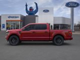 New 2025 Ford F150 STX image 3