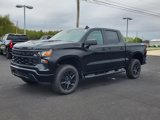 New 2025 Chevrolet Silverado 1500 Custom Trail Boss w/ Turbomax Blackout Package image 2