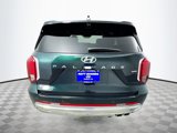 New 2025 Hyundai Palisade Calligraphy image 6