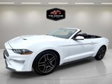 Used 2019 Ford Mustang Premium image 2