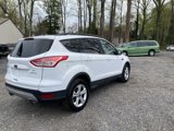 Used 2014 Ford Escape SE w/ Equipment Group 201A image 4