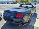 Used 2021 Ford Mustang Premium image 5
