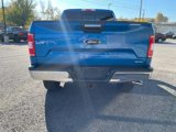 Used 2019 Ford F150 XLT w/ Equipment Group 302A Luxury image 6