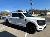 Used 2024 Ford F150 STX w/ STX Black Appearance Package image 3