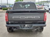 New 2025 Ford F150 Raptor image 4