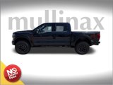 New 2025 Ford F150 Raptor image 2