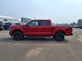 New 2025 Ford F150 XLT w/ Equipment Group 302A MID image 2