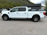 Used 2022 Ford F150 4x4 SuperCrew image 3