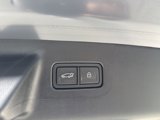 New 2025 Hyundai Santa Fe Calligraphy image 6