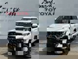 View Video