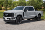 New 2025 Ford F250 Platinum image 3