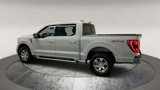 Used 2023 Ford F150 XLT w/ Equipment Group 302A High image 4