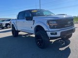 New 2025 Ford F150 XLT w/ Equipment Group 302A MID image 3