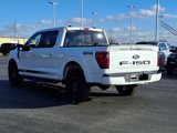 New 2025 Ford F150 XLT w/ Equipment Group 302A MID image 5