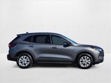 Used 2024 Ford Escape Active w/ Tech Pack #1 image 4