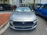 Used 2024 Ford Mustang Premium image 2