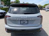 Used 2024 Kia Telluride SX X-Line image 4