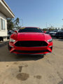 Used 2019 Ford Mustang GT image 2