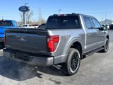 New 2025 Ford F150 XLT image 3