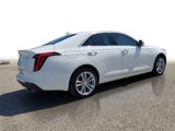 Used 2023 Cadillac CT4 Luxury w/ Sun And Sound Package image 4